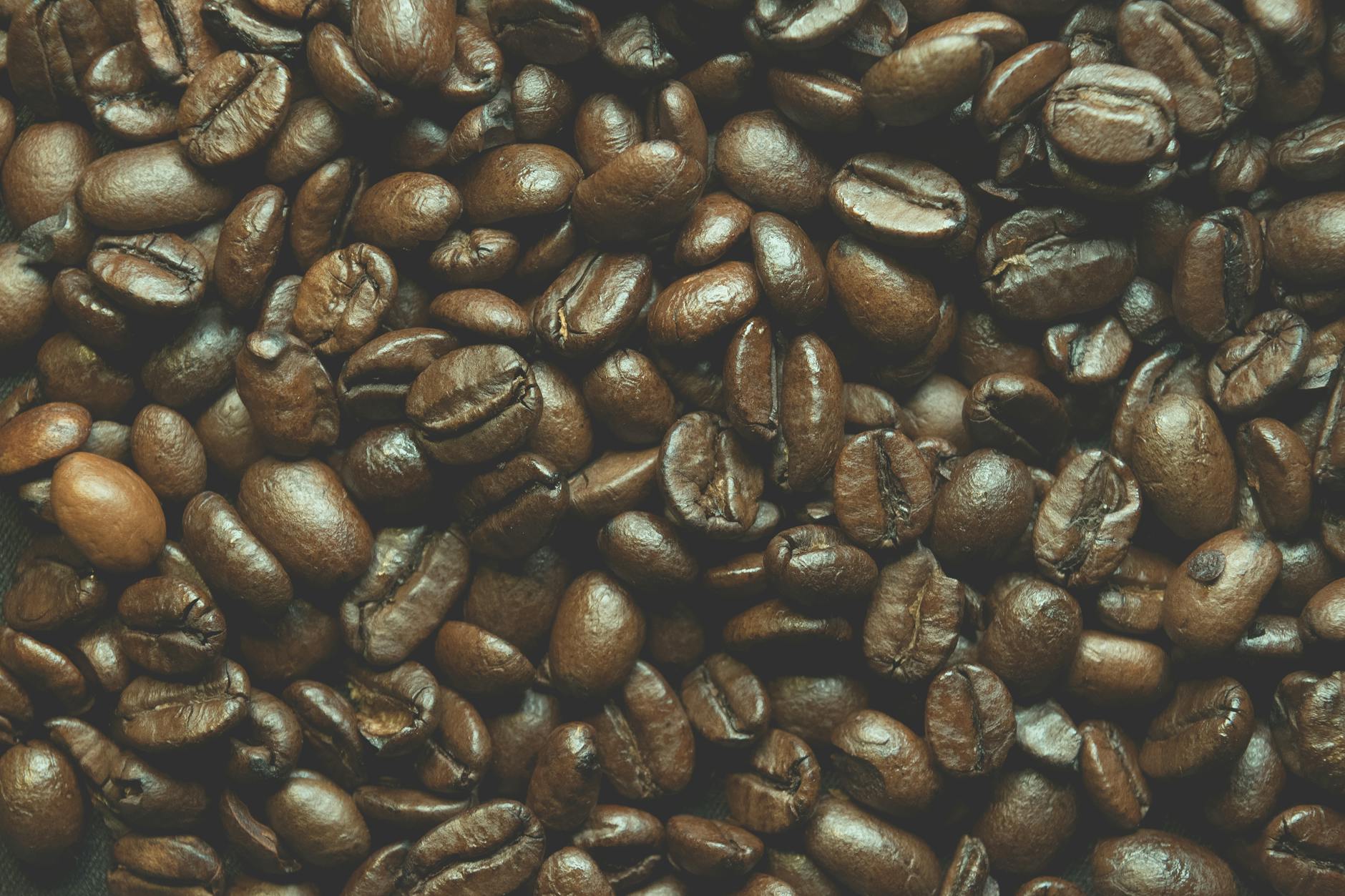 Guía Completa sobre los Diferentes Tipos de Tueste de Café y Cómo Afectan el Sabor