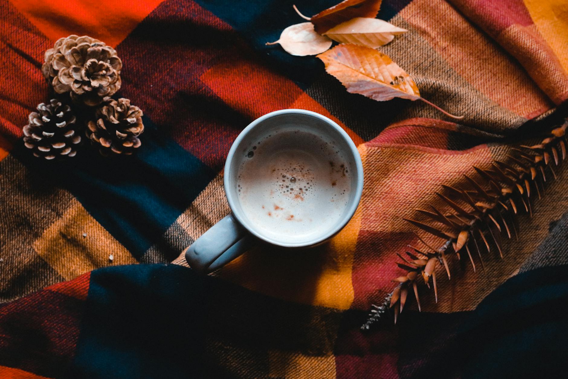Deliciosas bebidas de Café para el Otoño