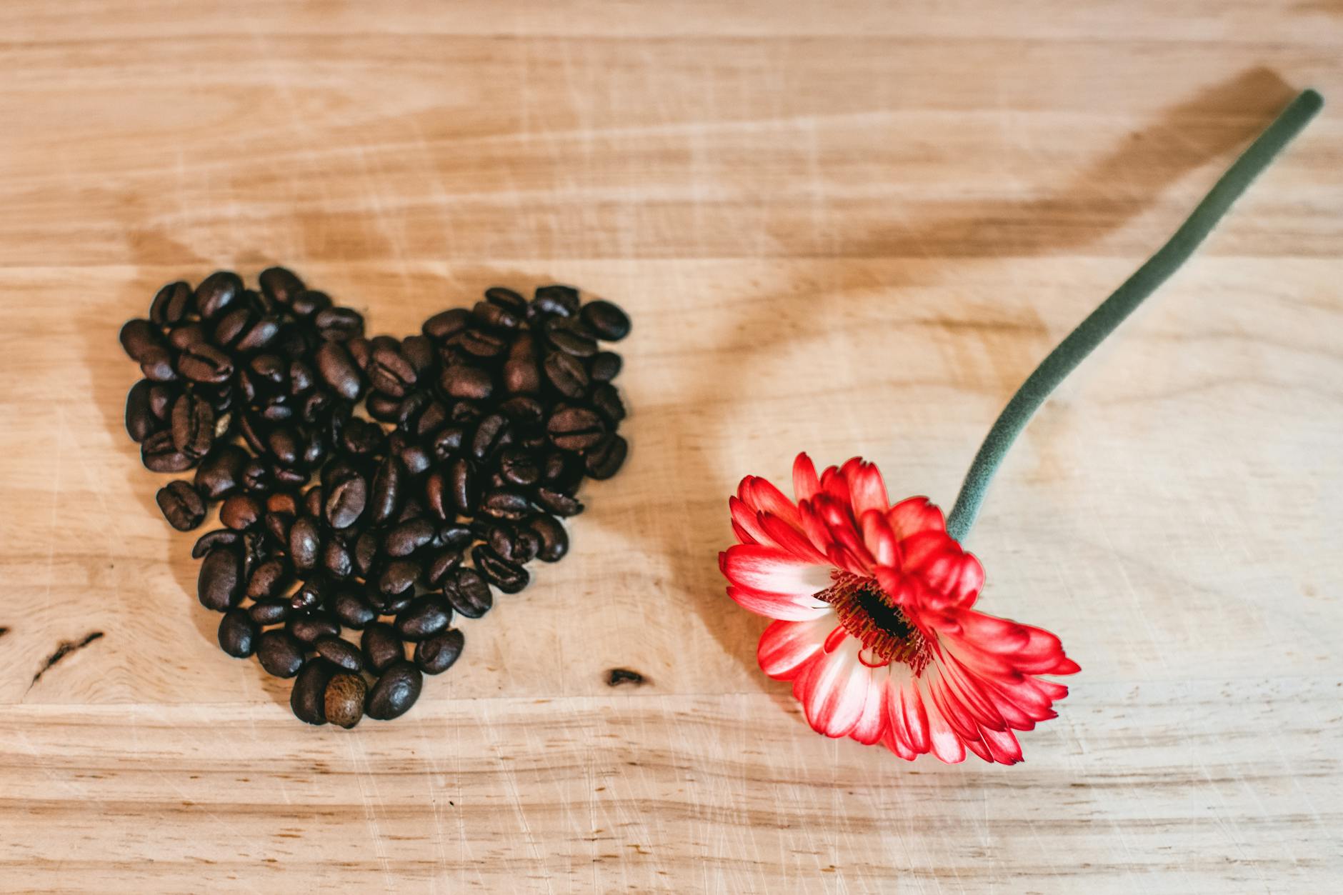 Café para San Valentín: Ideas Románticas para Compartir