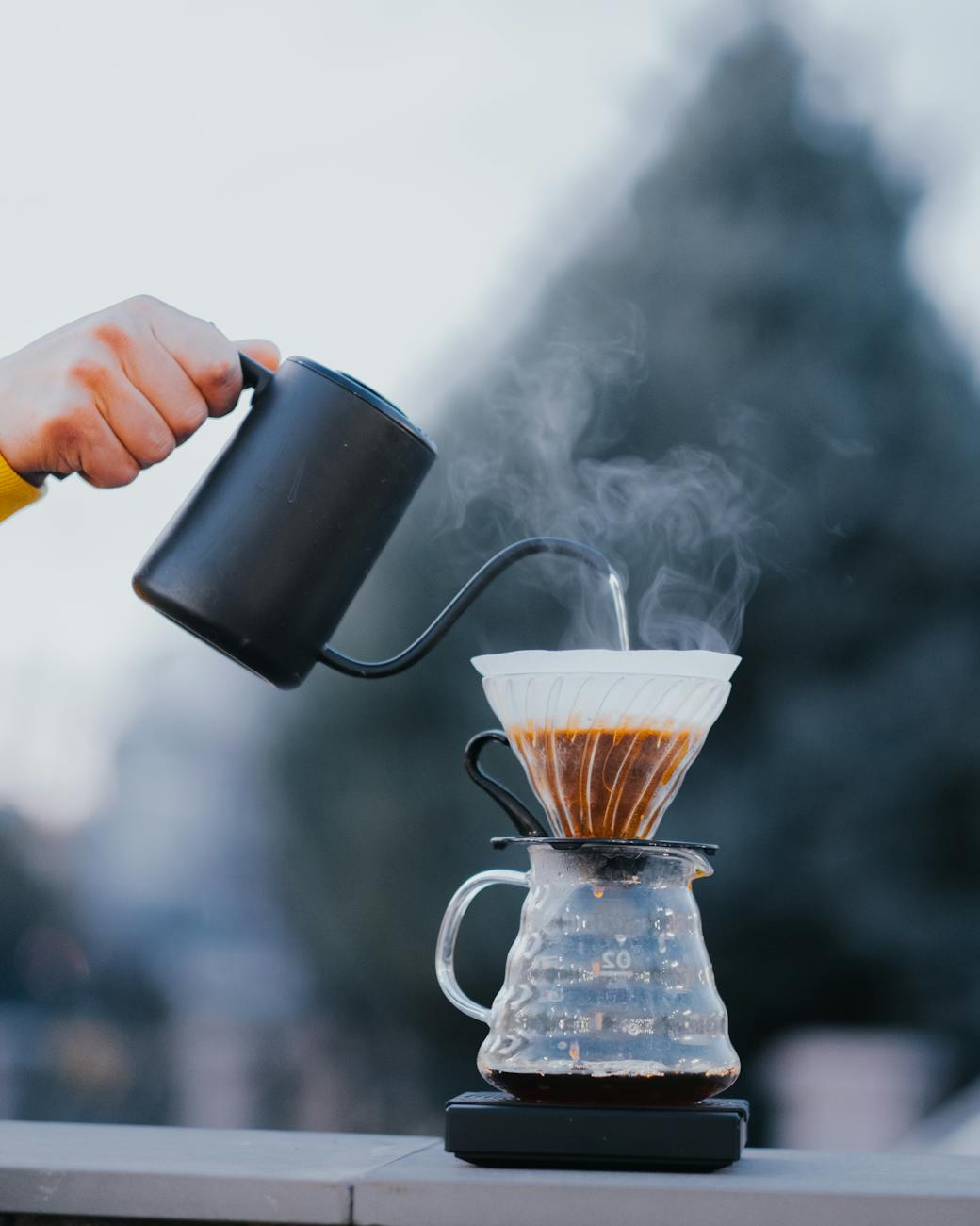 Guía de Métodos de Preparación: V60